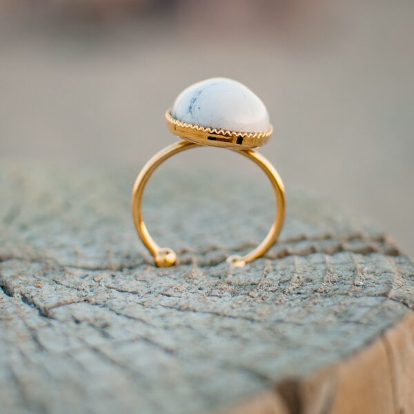Closeup shot of a ring on a tree trunk Closeup shot of a ring on a tree trunk
