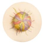 top view of straw hat with wide brim isolated