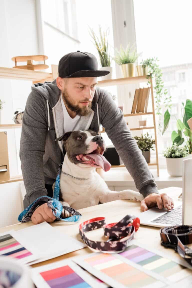 Young creative male designer and his pet working by table in front of laptop